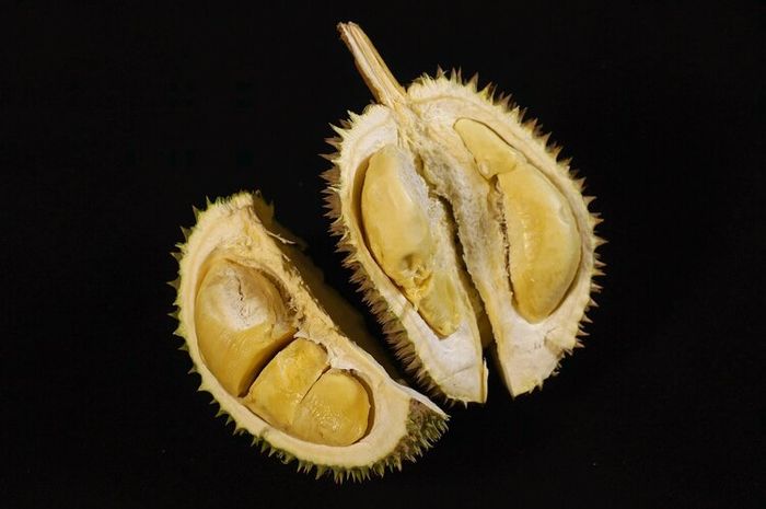 Buah durian memiliki rasa manis dan mengandung karbohidrat yang tinggi.