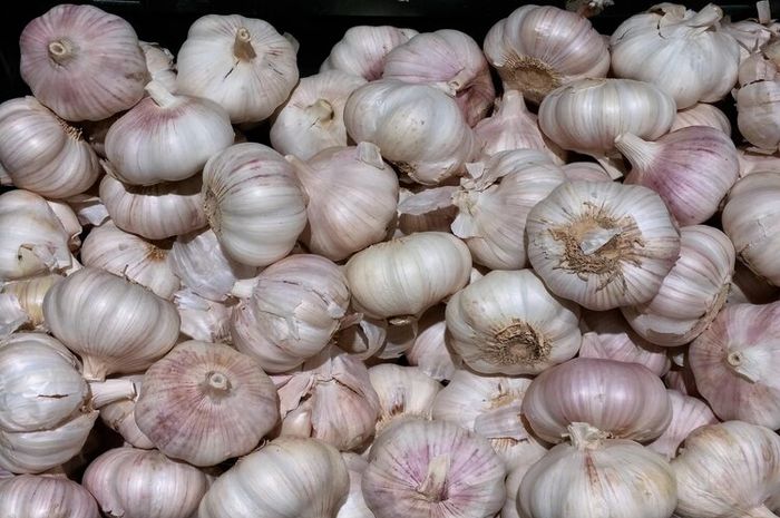 Air rebusan bawang putih bermanfaat untuk menjaga kesehatan ginjal.