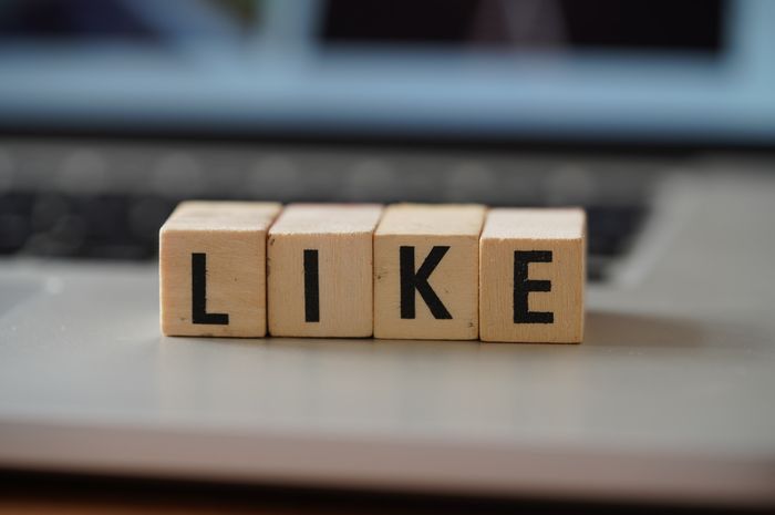Kata like digunakan untuk memberikan perbandingan contoh.