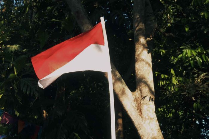 DPD merupakan singkatan dari Dewan Perwakilan Daerah.