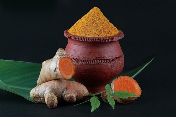 Kunyit adalah salah satu tumbuhan rhizoma.