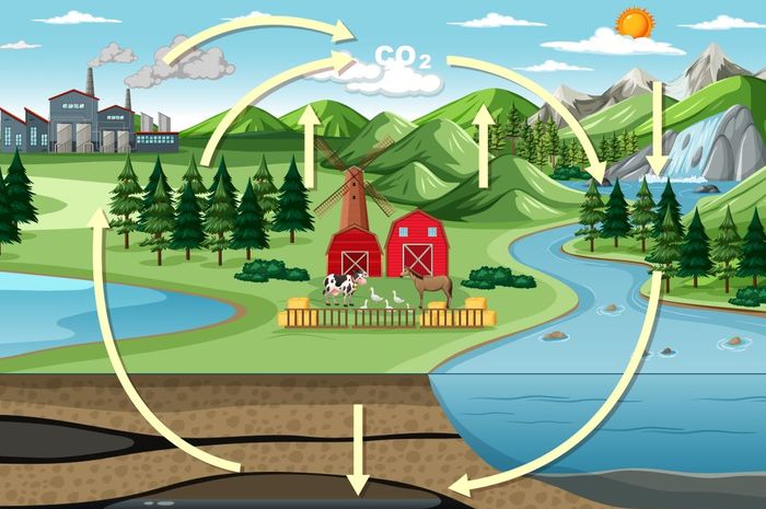 Siklus Karbon: Pengertian, Sumber, dan Keterkaitannya dengan Iklim Global