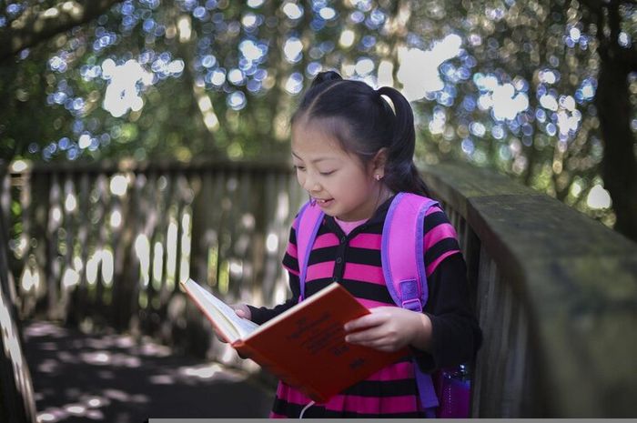 Teks bacaan tersusun dari paragraf-paragraf yang memiliki ide pokok dan kalimat penjelas.