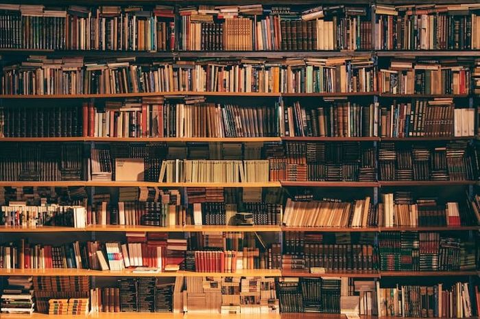 Perpustakaan memiliki misi untuk mencerdaskan anak.