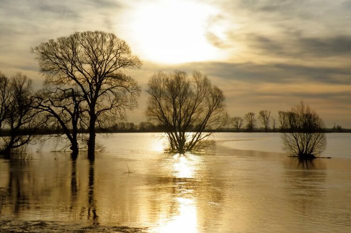 Banjir rob pada umumnya terjadi di daerah pesisir laut.