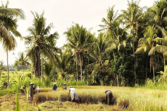 Kebanyakan masyarakat Indonesia bermata pencaharian sebagai petani di bidang pertanian atau agraris.