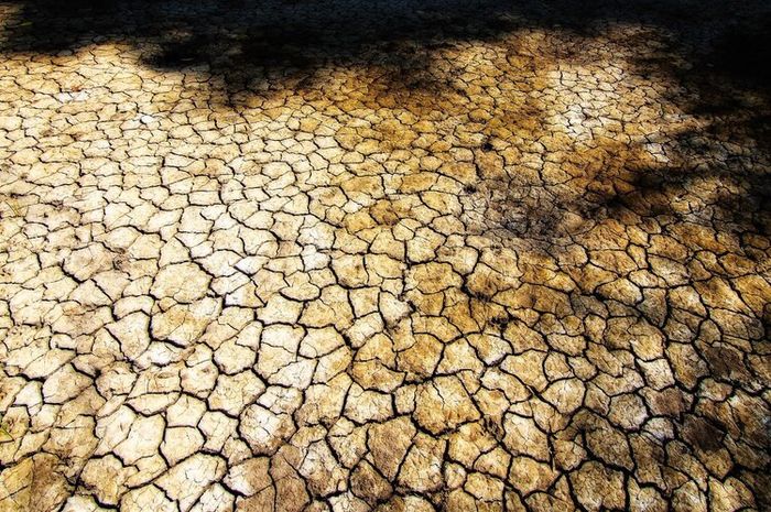 Hari Penanggulangan Degradasi Lahan dan Kekeringan Sedunia dalam bahasa Inggris disebut World Day to Combat Desertification and Drought.