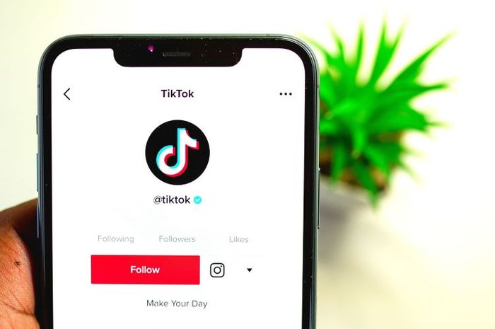 TikTok memiliki fitur yang dapat digunakan untuk mengecek siapa saja yang melihat profil pegguna.