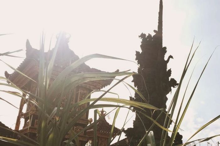 Banyak tempat wisata indah di Bali Barat yang menarik dikunjungi.