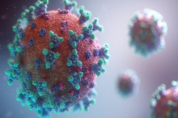Virus memiliki beberapa ciri dan pengelompokan yang beragam.