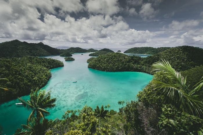 Bentang alam di Papua merupakan bagian geografis atau pemandangan permukaan.