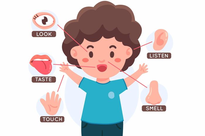Terdapat soal seputar senses pada Bahasa Inggris Kurikulum Merdeka kelas X (SMA) Chapter II halaman 33-34, Task 2, materi Sports Events.