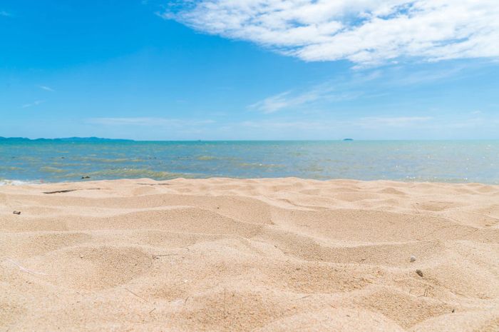 Hasil ekologi lingkungan pantai berperan penting terhadap warna pasir pantai.