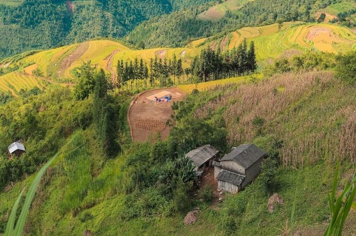 Desa lama dan desa baru memiliki beberapa perbedaan menurut prespektif undang-undang.