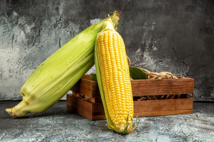 5 datos únicos sobre el maíz, que alguna vez fue el alimento básico de los Incas en México