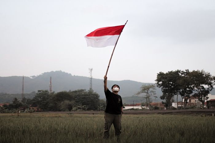 Integrasi nasional memiliki berbagai pengertian yang diutarakan oleh beberapa ahli.