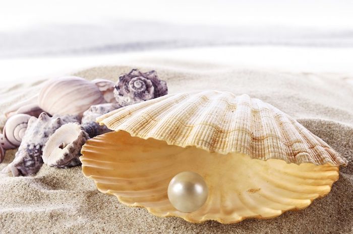 Ada kerang yang menghasilkan mutiara, ada yang tidak.