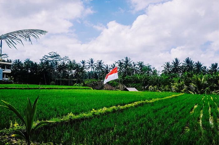 Bangsa Indonesia memiliki beberapa tujuan nasional yang hendak dicapai melalui pembangunan nasional.