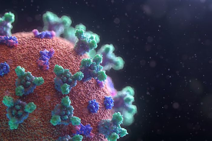 Virus dibagi menjadi dua berdasarkan asam nukleatnya, yaitu virus DNA dan RNA.
