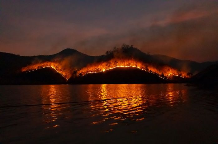 Adaptasi bencana terhadap kekeringan dan kebakaran hutan memiliki bentuk penanganan yang berbeda.