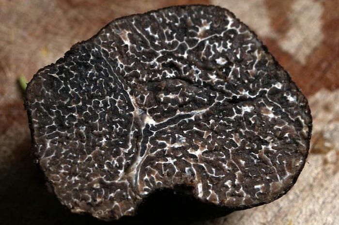 Jamur truffle tidak dapat bertahan lama, sehingga perlu segera diolah setelah dipanen.