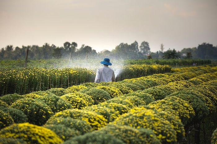 Meningkatkan efisiensi kerja merupakan salah satu pengaruh kemajuan iptek di bidang pertanian.