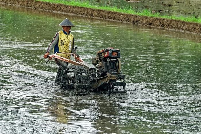 Traktor tangan merupakan salah satu jenis alat pertanian.