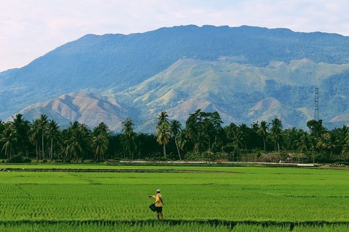 Letak geografis Indonesia memberikan sejumlah keuntungan.