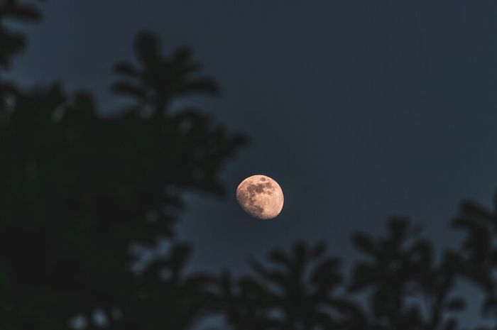 Bulan memiliki beberapa fase.