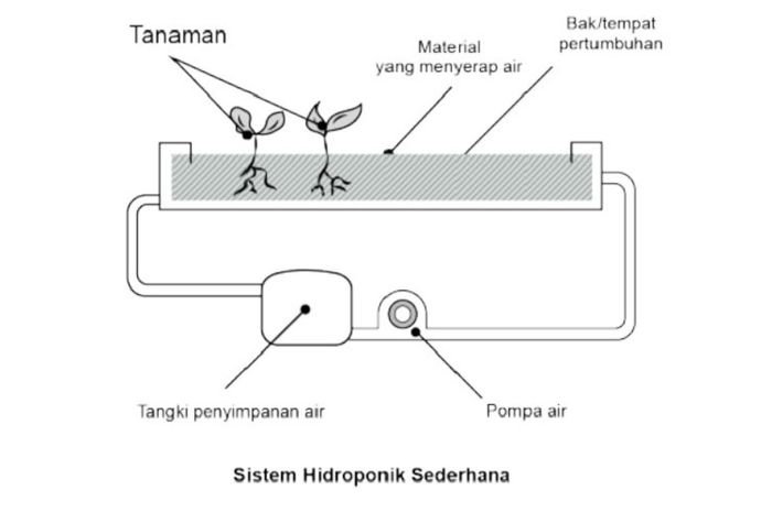 Sistem hidroponik dilakukan untuk menanam tanaman tanpa menggunakan tanah.
