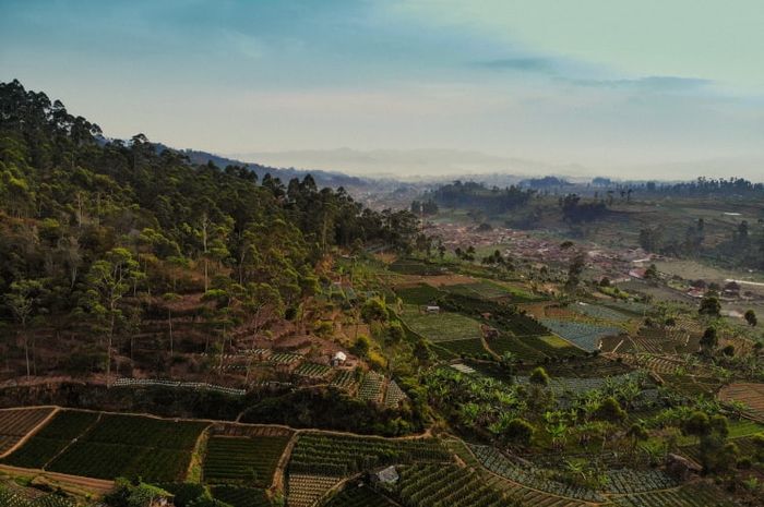Pertanian merupakan salah satu sumber daya alam yang tersebar di wilayah Indonesia.