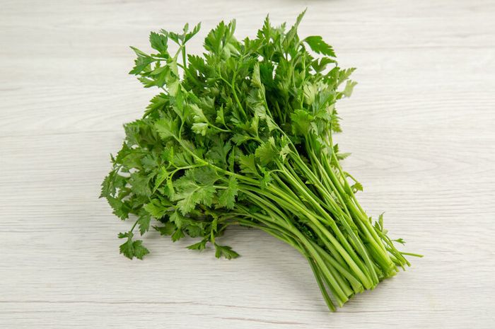 Daun seledri memiliki berbagai manfaat kesehatan.