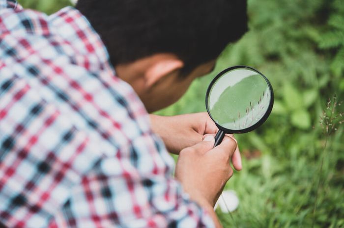 Membuat teks laporan hasil observasi bisa dilakukan dengan beberapa langkah.