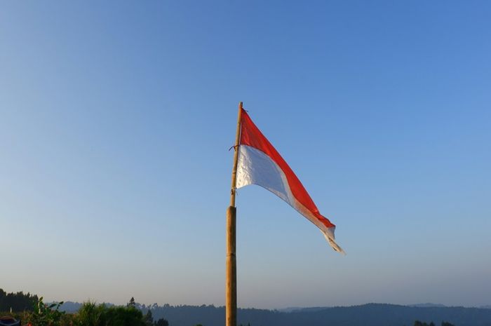 Pada masa revolusi Indonesia, terjadi berbagai bentuk pergolakan.