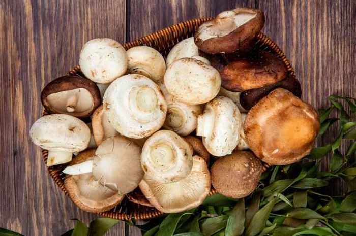 Jamur memiliki berbagai kandungan bermanfaat.