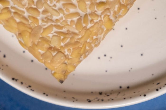 Tempe merupakan salah satu produk bioteknologi.