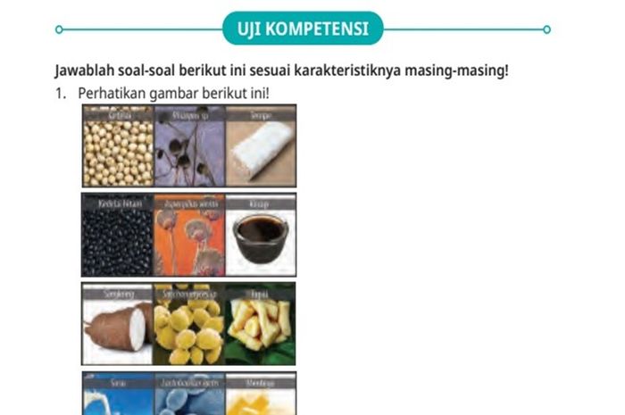 Soal Uji Kompetensi yang berkaitan dengan inovasi bioteknologi.