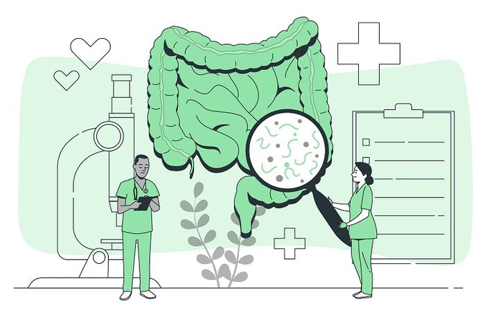 Pencernaan manusia terdiri atas beberapa organ.