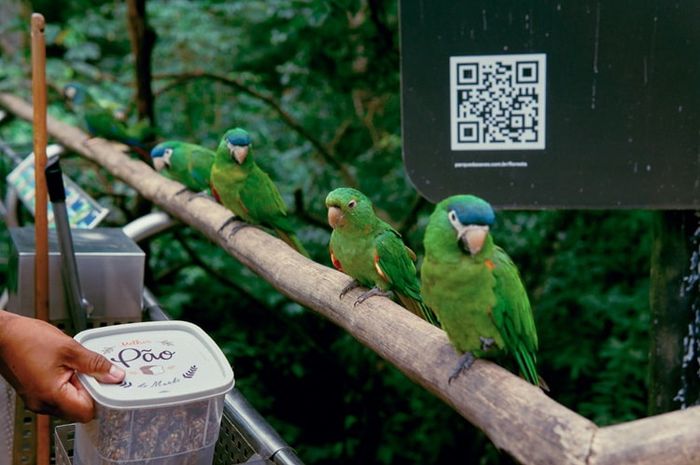 Kawasan konservasi merupakan salah satu bentuk pelestarian flora dan fauna.
