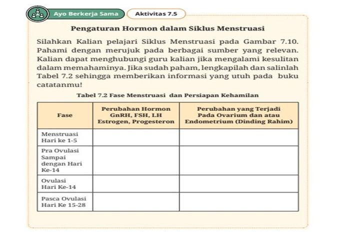 Tabel tentang fase dalam siklus menstruasi.