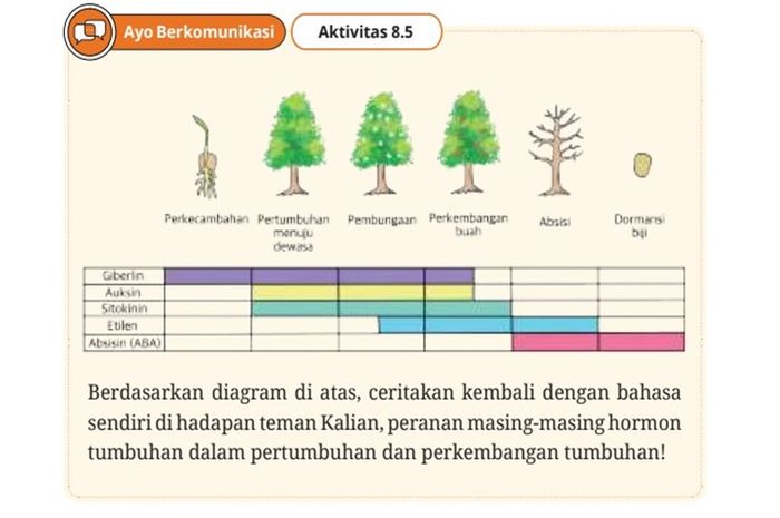 Hormon tumbuhan penting bagi pertumbuhan dan perkembangan tumbuhan.
