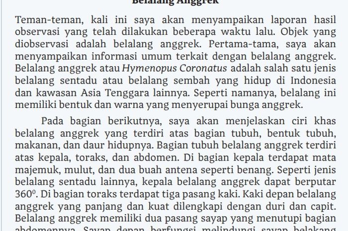 (tangkapan layar) Teks 'Belalang Anggrek' merupakan jenis teks laporan hasil observasi.