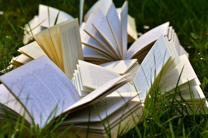 Contoh idiom bahasa Inggris dari kata Book beserta artinya
