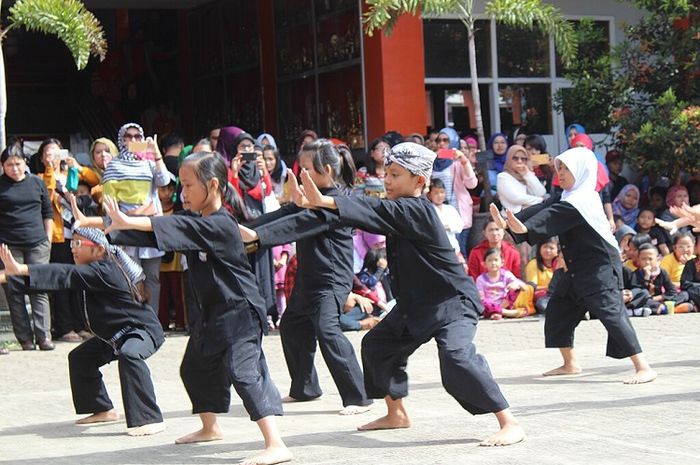 Pukulan dalam pencak silat adalah gerakan serangan terhadap lawan dengan menggunakan tangan kosong.