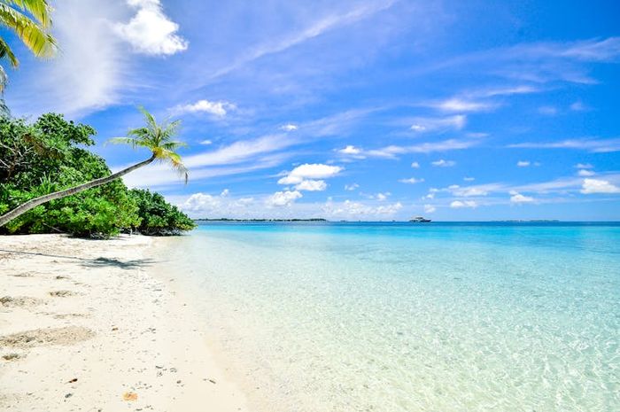 Wilayah laut Indonesia menyimpan berbagai macam sumber daua alam (SDA) kelautan yang sangat beragam dan melimpah.