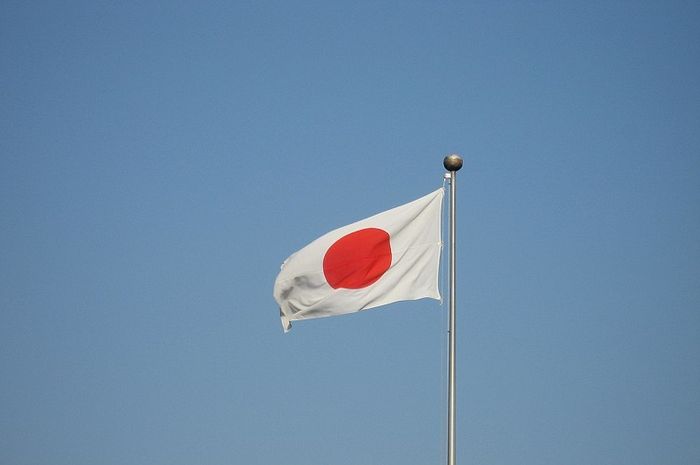 Pada masa pendudukan Jepang di Indonesia (1942&ndash;1945), berbagai organisasi pergerakan didirikan oleh pemerintah Jepang dan oleh kalangan pejuang Indonesia. 