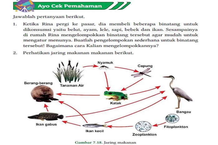 (tangkapan layar) Terdapat soal Ayo Cek Pemahaman pada Bab 7: 'Keanekaragaman Makhluk Hidup, Interaksi, dan Peranannya di Alam' di halaman 175-176.