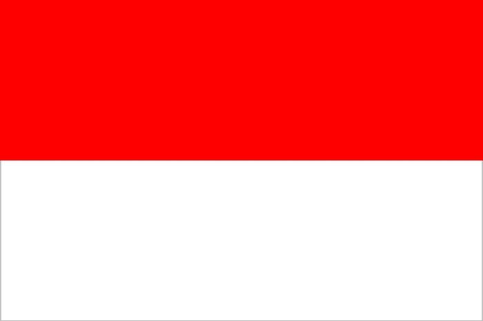 Nasionalisme adalah sebutan lain dari bentuk semangat kebangsaan dari rakyat pada negaranya.