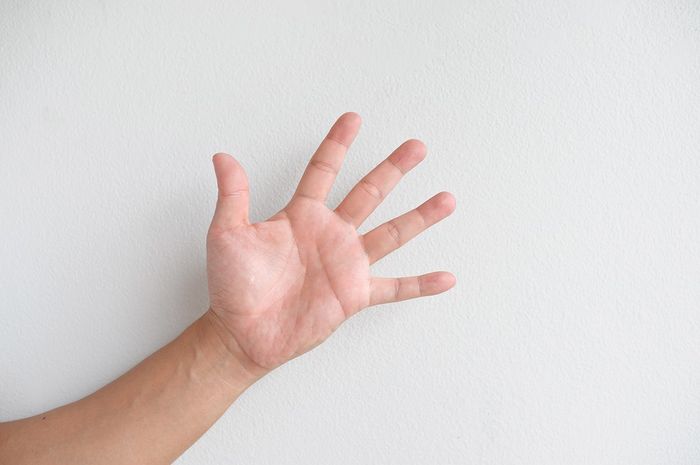 Kenapa Kita Memiliki Garis Tangan Bobo