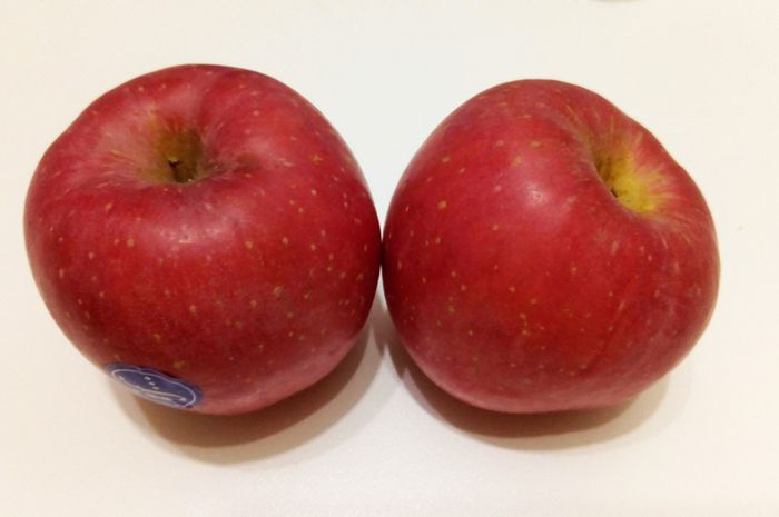 9000+ Gambar Buah Apel Satu Biji HD Gratis 9000+ Gambar Buah Apel Satu Biji HD Gratis